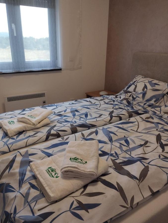 Forest Lux Apartment *
